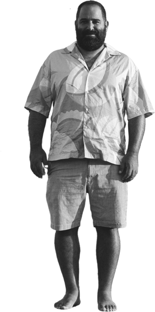 רנן ליפשיץ, בונה אתרים